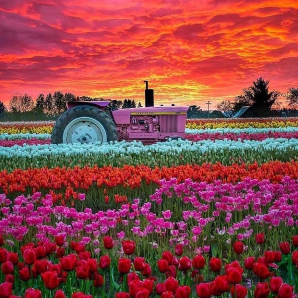 I love offers!🌷☺️👍🏼